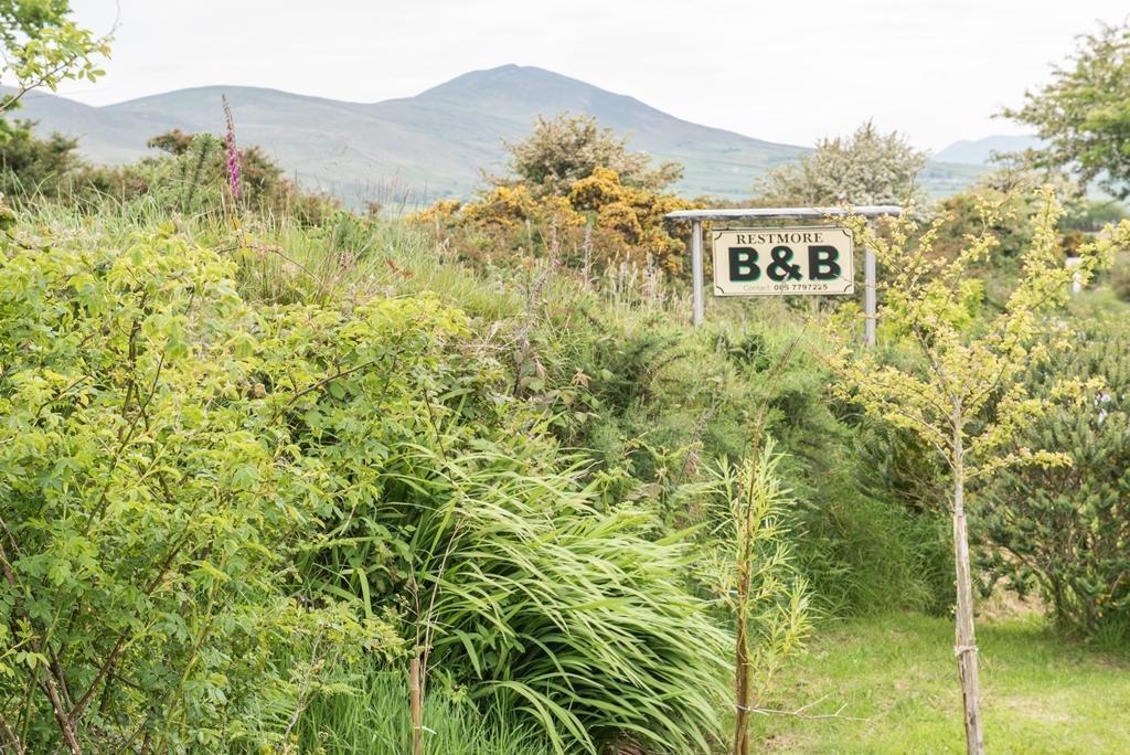 Restmore B&B Anascaul Eksteriør billede